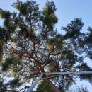 내호곡경로당 이미지