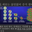 휘경우리들내과의원 네이버블로그
