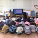 온샘유치원 이미지