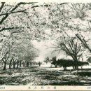 공설운동장(서편) 이미지