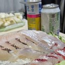 또또회수산 | 가락시장회맛집 제철 봄도다리가 맛있는 온달수산 회 포장 솔직 후기