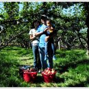 김태현농장 이미지