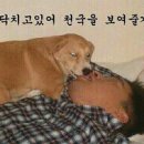 놀자 이미지