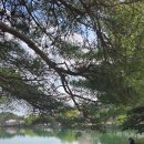 인공폭포 및 바닥분 | [제천여행] 의림지 완벽 여행코스 주차및 용추폭포, 유리전망대부터 벚꽃 나들이와 매점 골뱅이 맥주 꿀...