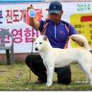 백마 농장2 이미지