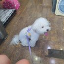 김인천동물병원 이미지