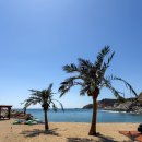 오보해수욕장 옆 | 경북 영덕 사람 없는 동해바다 추천 오보해수욕장 방문 후기