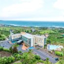 강창학종합경기장 천연잔디구장 이미지