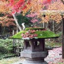 제일여관 이미지