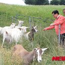 박주성농장 이미지