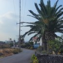 애월시크릿풀빌라 이미지