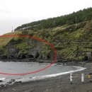 제주 송악산 해안 일제 동굴진지 이미지