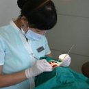 신흥치과기공소 이미지