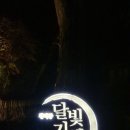 금천교 | 창덕궁 달빛기행 야간개장 | 기본 정보 예매 코스 산책 체험 낙선재 인정전 금천교 창덕궁 후원 후기