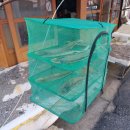 초원여관 | 나혼자 뚜벅이 당일치기 군산 여행(2): - 동행 투어 후기, 일본식 가옥, 동국사, 자주적 관람, 이성당