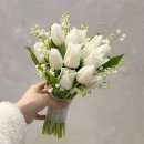 부케바이민 이미지