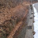 묵호초등학교