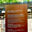 이순신장군과 두사충 | 대구 이순신장군과 두사충의 우정