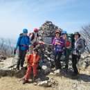 서대2 이미지
