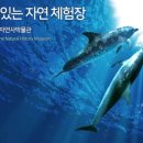 부산해양자연사박물관 이미지