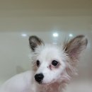 리나커피 이미지