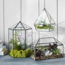 테라리움 이미지