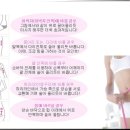 "홈쇼핑" 탈렌트 송채환의 바디피트(다이어트) 슬림셀 아주저렴하게~~4주프로그램 이미지