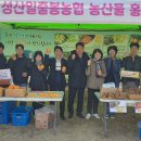 신풍 이미지