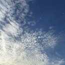 대명스탠 | [김포]대명수산 솔직후기 / 왕새우 소금구이, 칼국수 / 산책
