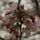 밀물다방 이미지