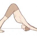 Wellness Gym 이미지