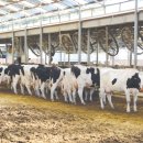 우상목장 이미지