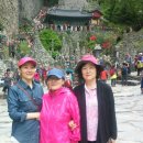 운호농장 이미지