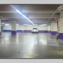 히트짐 더라이트그린 평리점 이미지