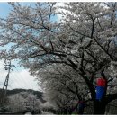 내토헤어샾 Daum카페