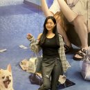 홀페이퍼 whole.paper 5월 더현대서울 팝업스토어 여름 여행룩 볼레로, 치마바지 쇼핑하기
