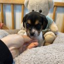 연제구-045 이미지