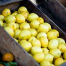 촌놈스튜디오 이미지