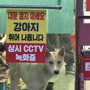 고기마켓트 이미지