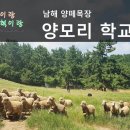 동현목장2 티스토리