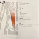 운썸 이미지