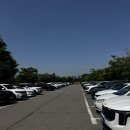 한강미디어고등학교 내 | 5월 여의도 한강공원 주차 꿀팁부터 배달존, 한강라면까지 애견동반 피크닉 후기