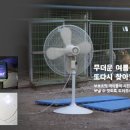 남양주유기견보호소의 여름나기를 도와주세요 D-50 이미지