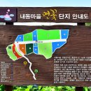 내동마을회관 Daum카페