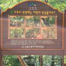 파래소 가든 이미지