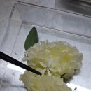 모든날;꽃