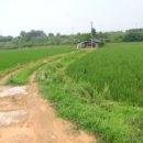 전대1리마을회관 이미지