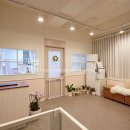 마리애견미용실 이미지