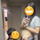 로쉬치즈 | 임신 18주 ~ 19주 차 기록 (ft. 정선 파크로쉬 리조트 태교 여행)