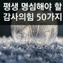 감사의 힘 이미지